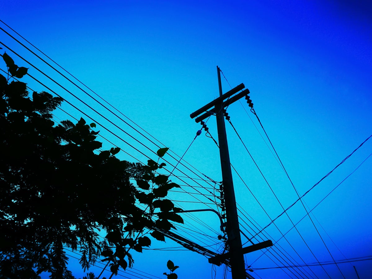 Trees in Power Lines
