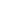 Application Icon