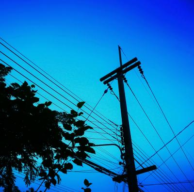 Trees in Power Lines